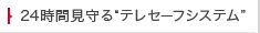 24時間見守るテレセーフシステム