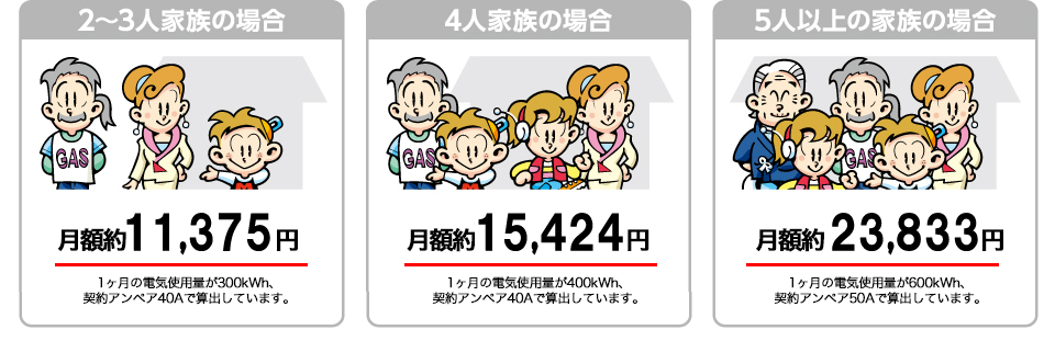 イワタニでんきの月額料金＜例＞