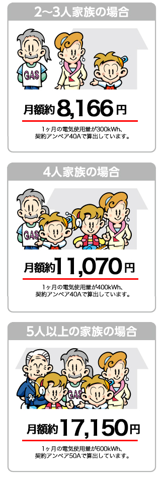 イワタニでんきの月額料金<例>