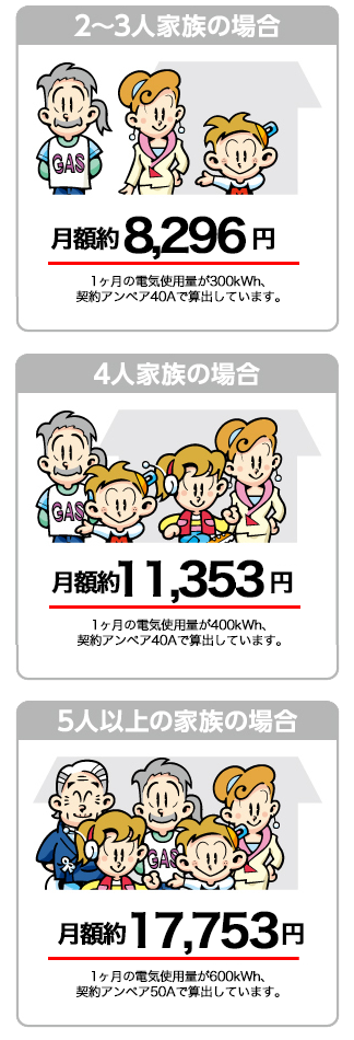 イワタニでんきの月額料金<例>