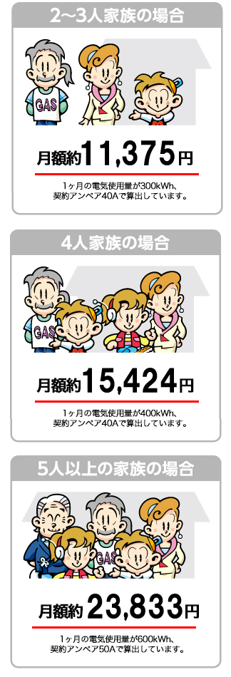 イワタニでんきの月額料金＜例＞