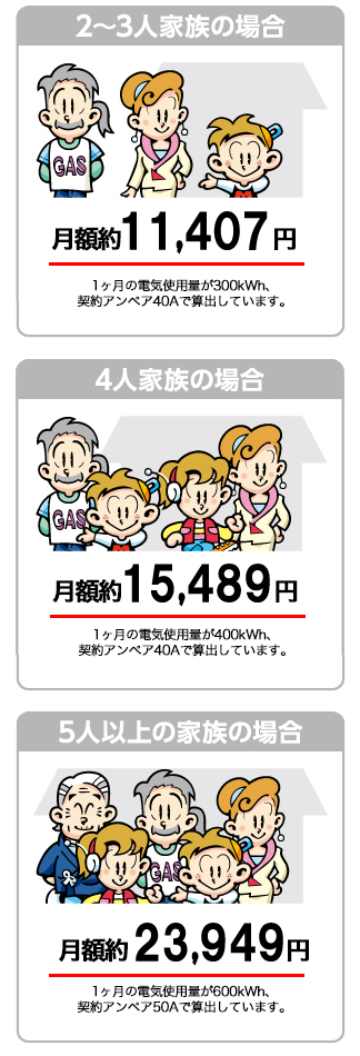 イワタニでんきの月額料金<例>