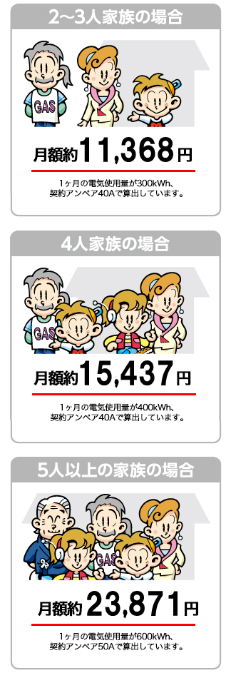 イワタニでんきの月額料金＜例＞