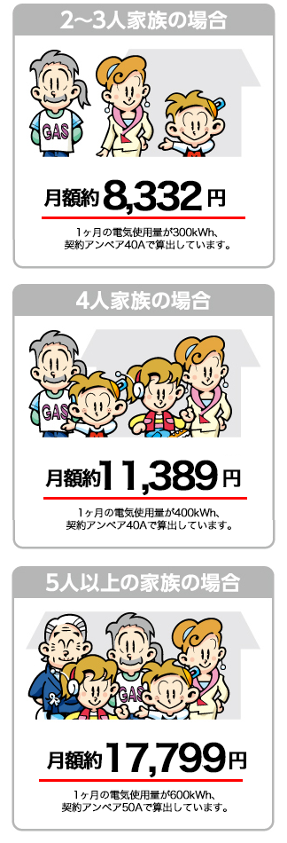 イワタニでんきの月額料金<例>